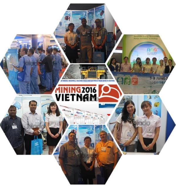 exhibition photo of double suction pump
