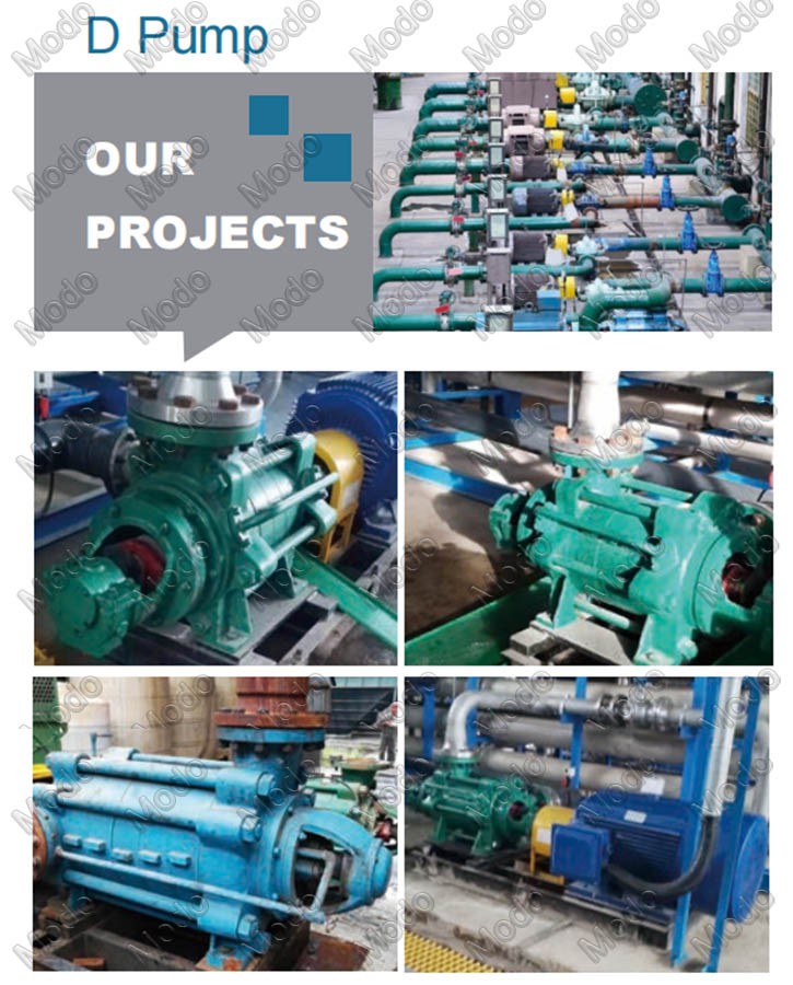 Multistage centrifugal ring section pump