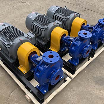 Clean Water Pumps Manufactured For Malaysia Customer