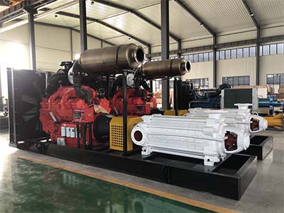 Multistage Pumps Manufactured For Saudi Arabia Customer