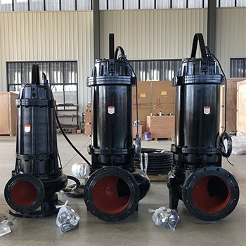 Centrifugal Submersible Sewage Pumps Manufactured For The Philippines Customer