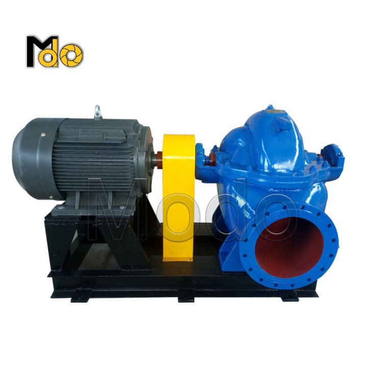 Double Suction Pump