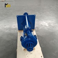 Submerged Slurry Pump Vertical Slurry Pump