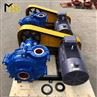 Electric Slurry Pump